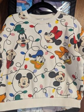 Zara Disney Sweaters